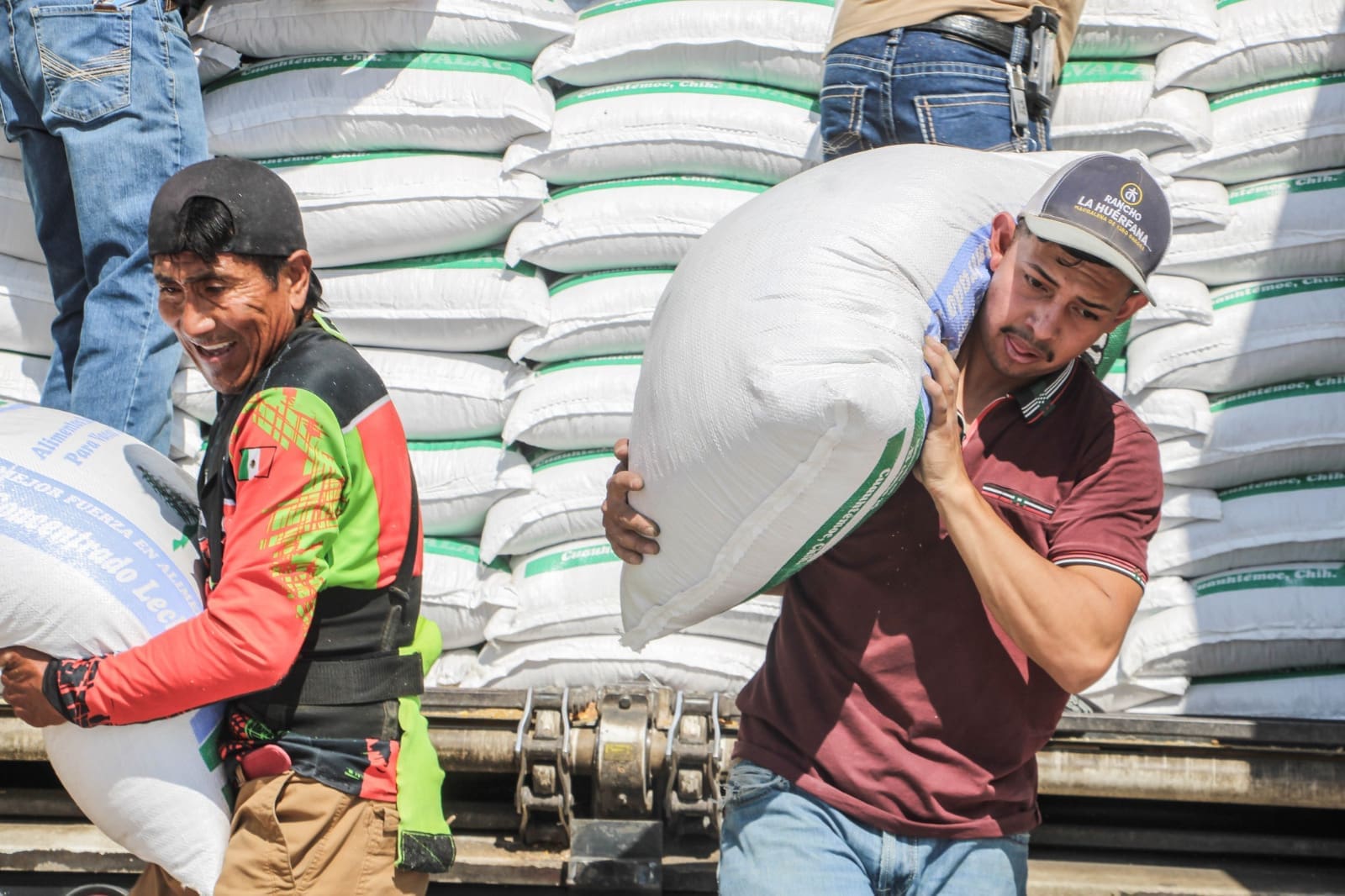 Entrega Estado 600 toneladas de alimento para ganado lecheros