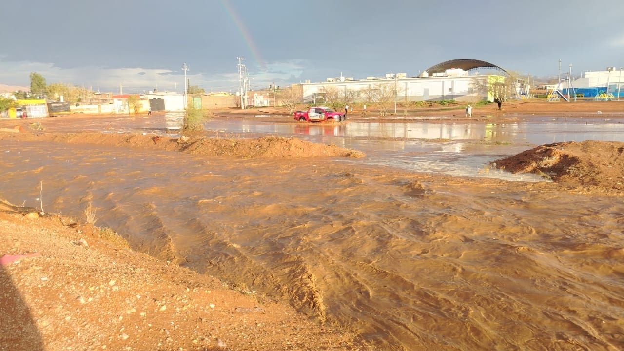 Emite Protección Civil reporte de incidencias por lluvias en el estado