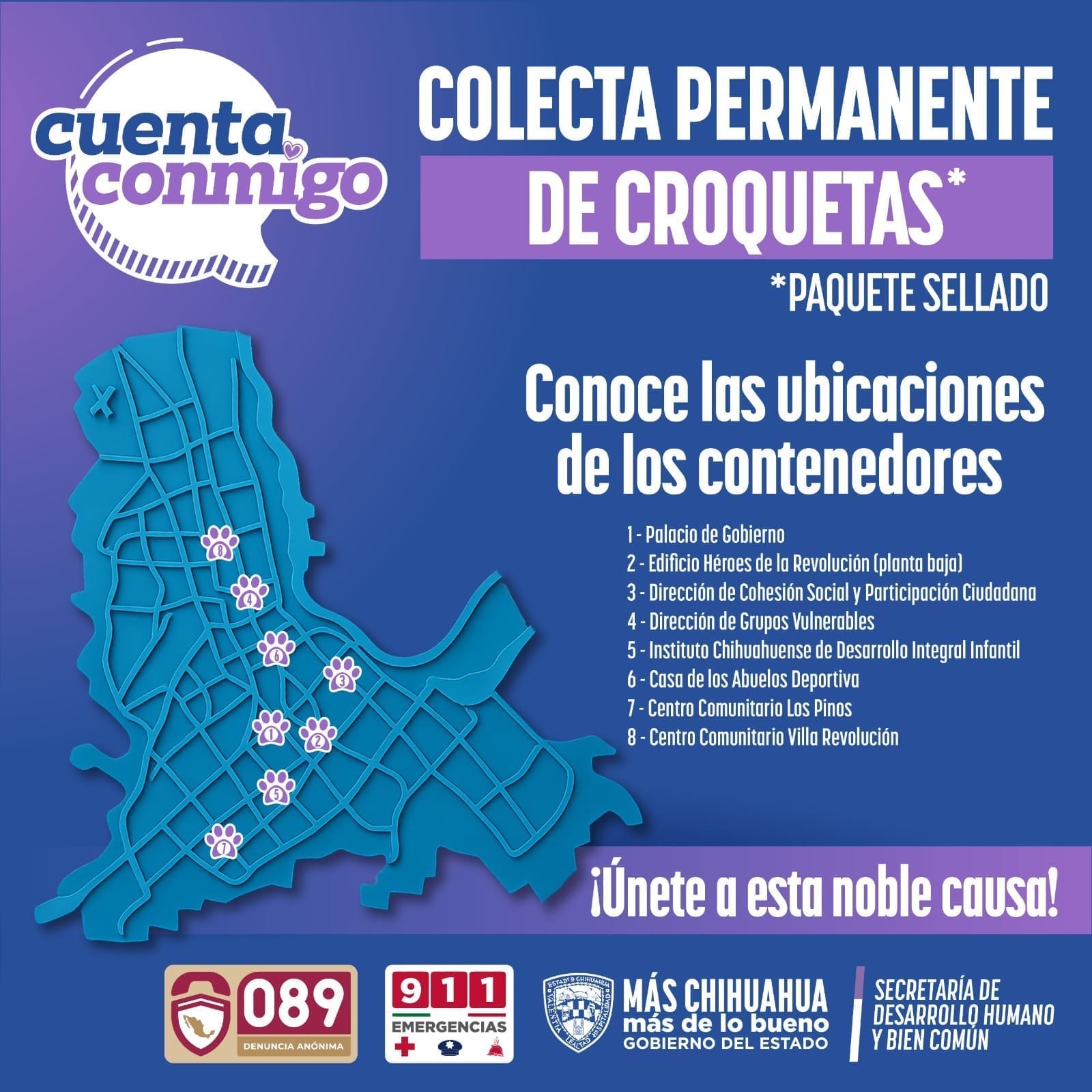 Lanzan campaña permanente de donación de croquetas para animales en situación de calle