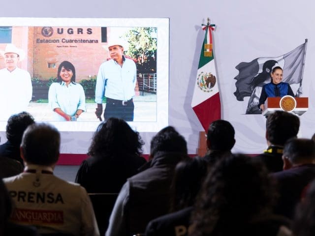 México reanuda exportación de ganado a Estados Unidos desde Sonora