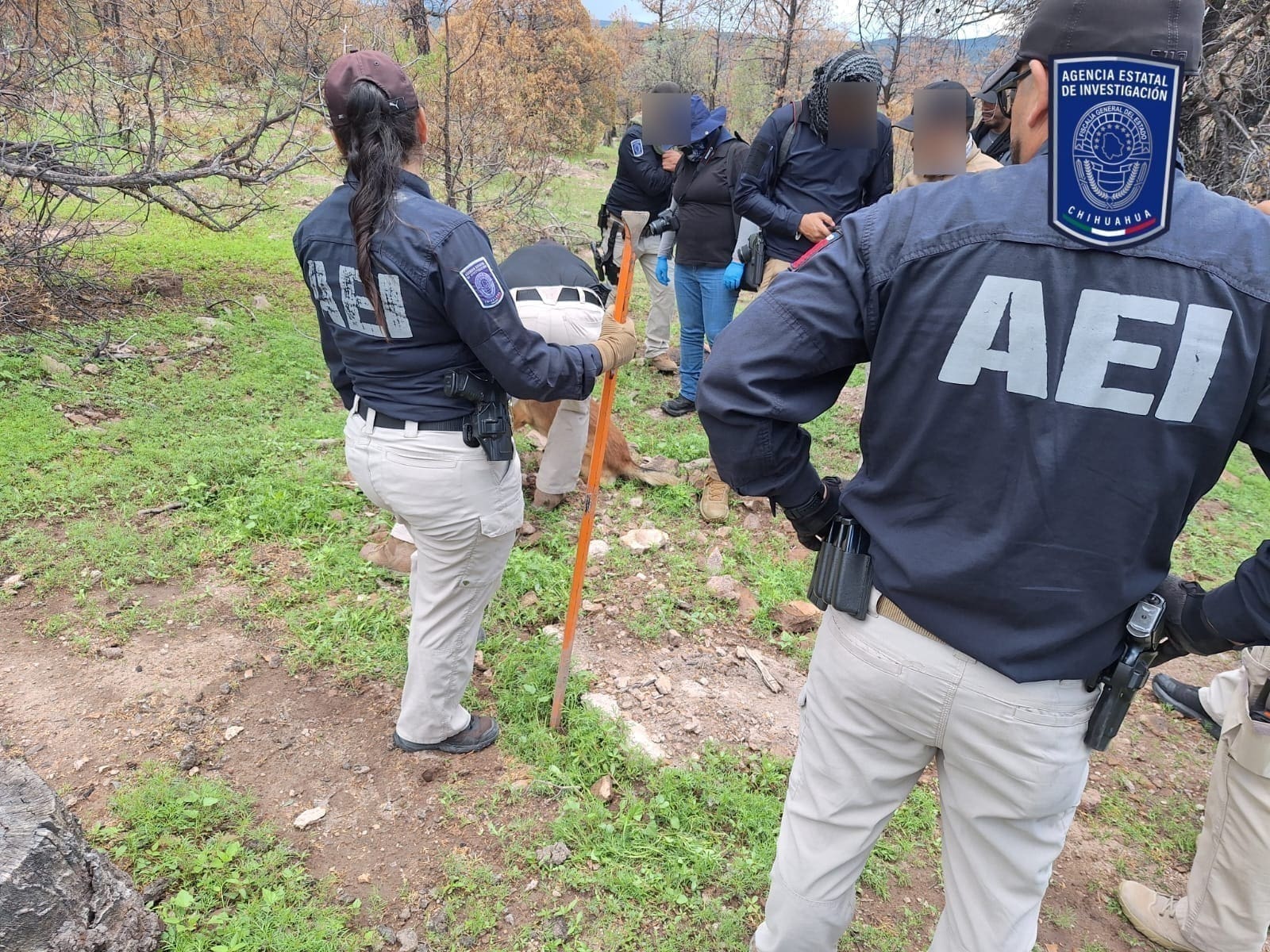 Localizan fragmentos óseos en Casas Grandes