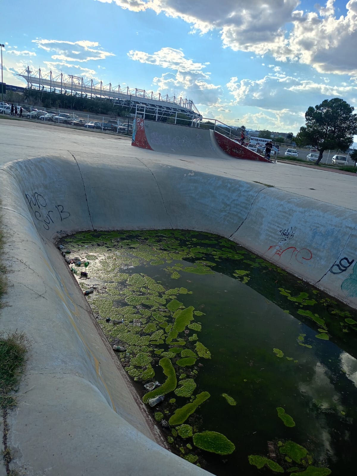Usuarios denuncian abandono en la Deportiva Sur: agua estancada y riesgo sanitario