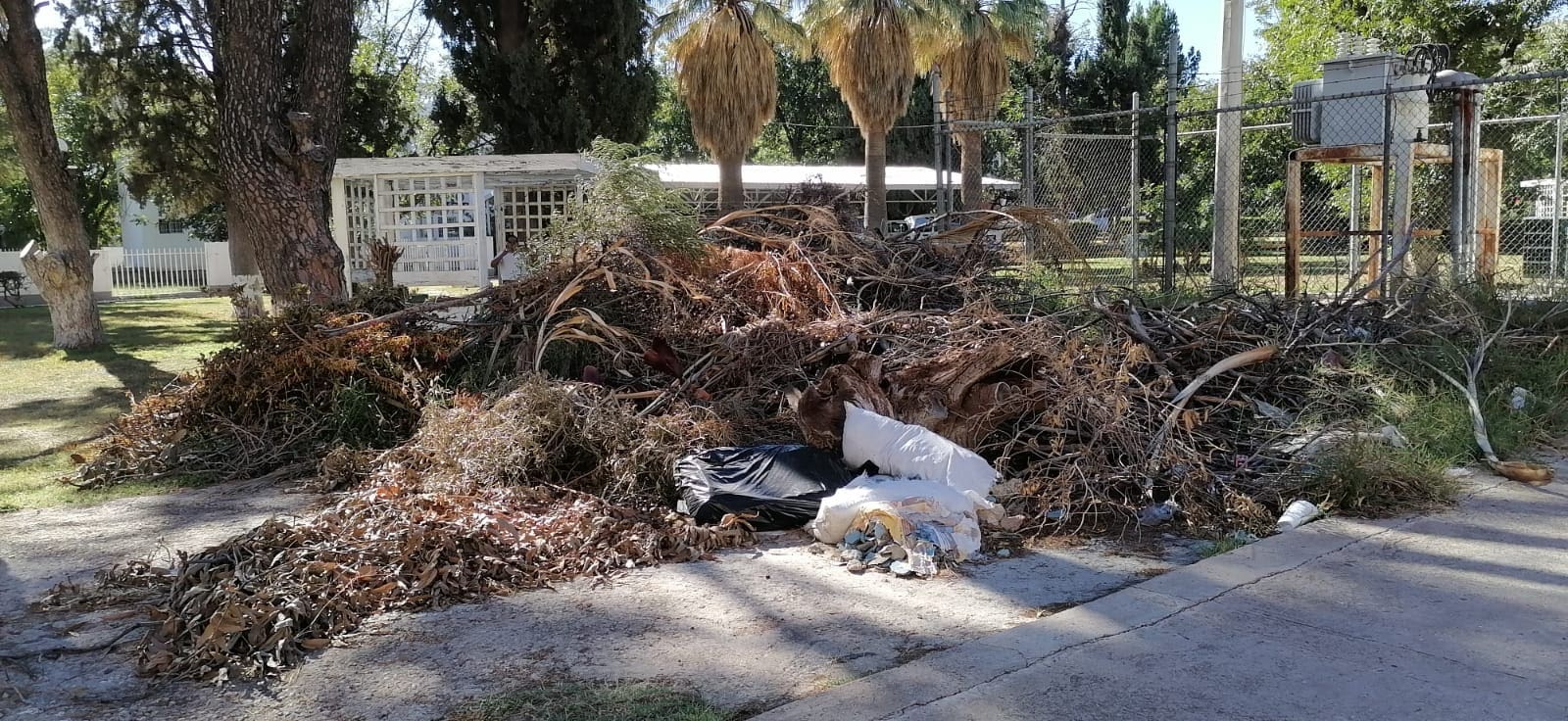 Denuncia ciudadana: Montones de ramas y basura detrás de la Secretaría de Cultura