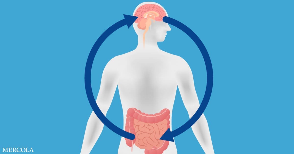 Vinculan el deterioro de la memoria con la inflamación intestinal