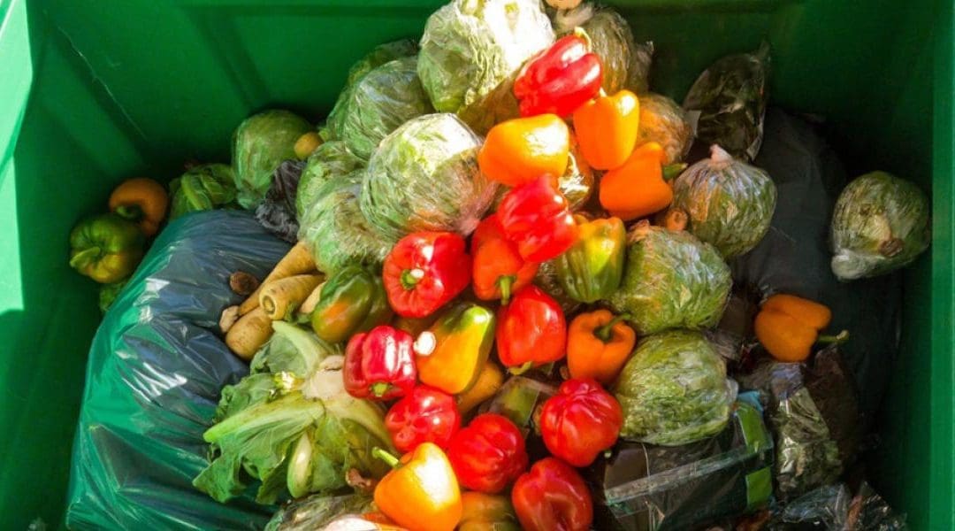 México tira 38 toneladas de comida por minuto mientras millones padecen hambre