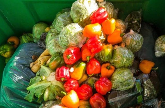 México tira 38 toneladas de comida por minuto mientras millones padecen hambre