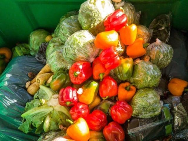 México tira 38 toneladas de comida por minuto mientras millones padecen hambre